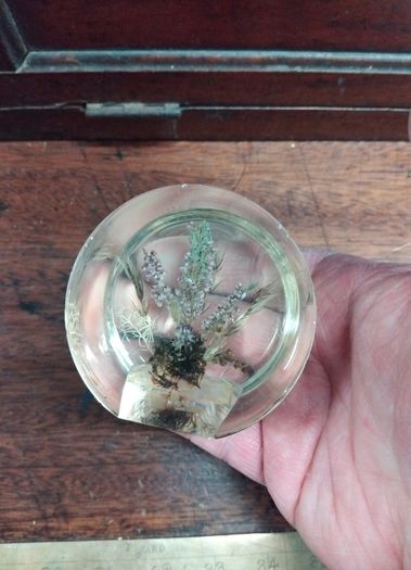 Vintage Irish paper weight
