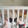 Mia Mamas and Papas Cot/Sleigh bed Image 6