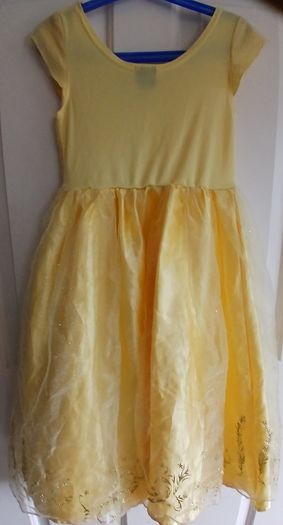 Disney princess dress