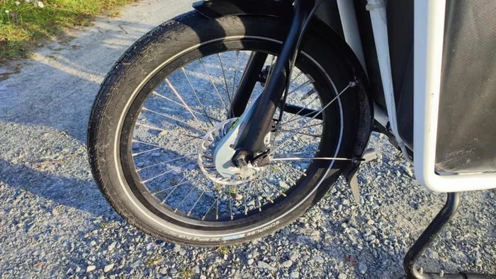 Riese and Muller Load cargo e-bike - Bosch powered