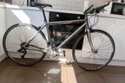 carrera gryphon
