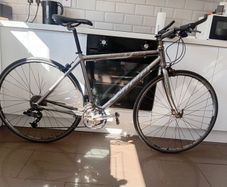 carrera gryphon
