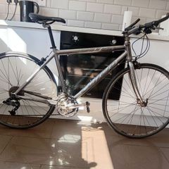 carrera gryphon