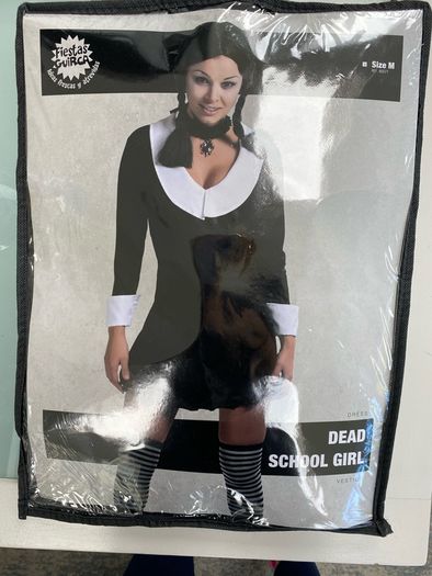 halloween costume brand new