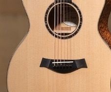 Taylor 514ce Limited Edition (Flamed Mahogany)