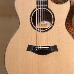 Taylor 514ce Limited Edition (Flamed Mahogany)