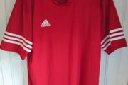 adidas climalite - Large