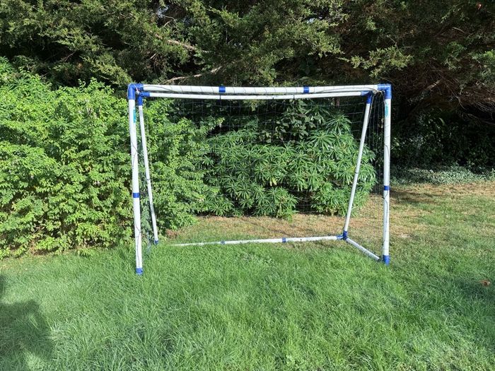 8ft x 6ft Pro Football Goal