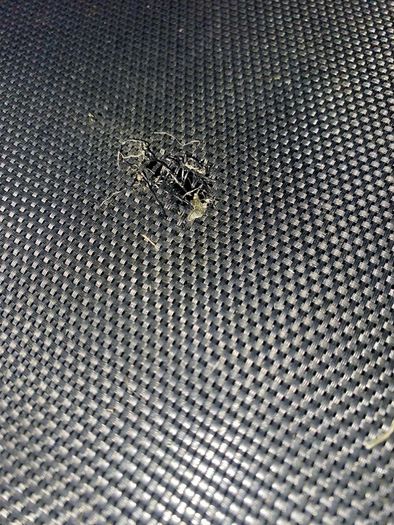 In-ground trampoline