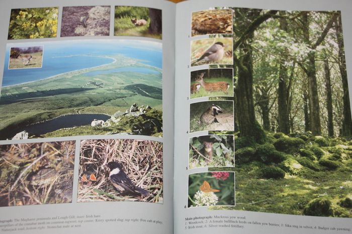 Kerry. A Natural History.