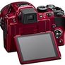 Nikon Coolpix P500 Image 3