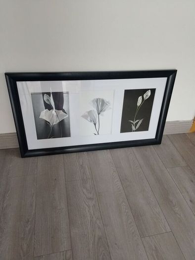 wall picture