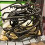 The Matrix Sentinel (Squid) from Macfarlane Toys Image 5