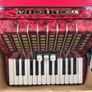 Delicia Junior II Piano Accordion Image 3