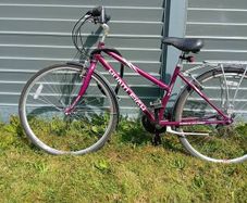 ladies/teenagers bike Huntleigh