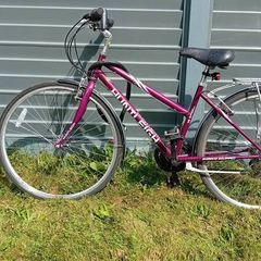 ladies/teenagers bike Huntleigh