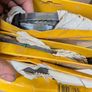 Dewalt Bandsaw Image 6