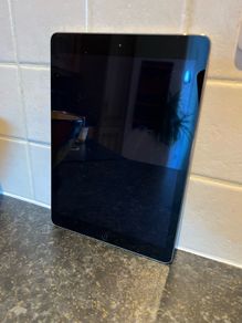 Apple iPad