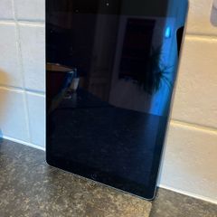 Apple iPad