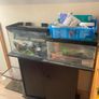 fish Image 6