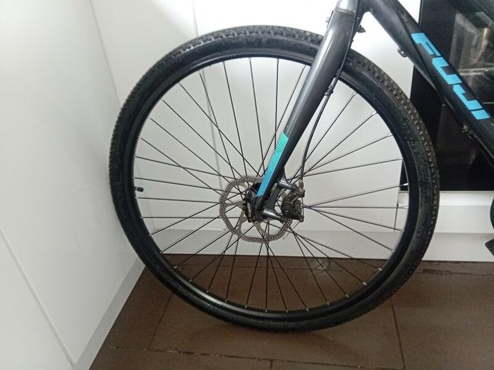 fuji Absolute