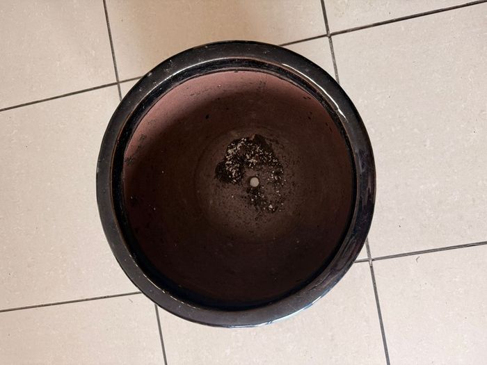 Ceramic pot