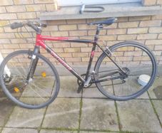 Specialized