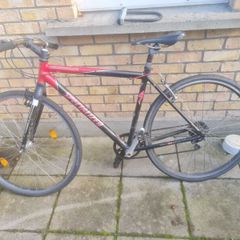 Specialized
