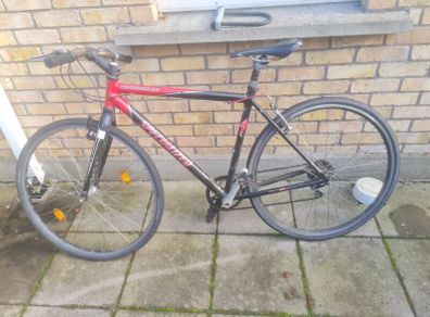 Specialized