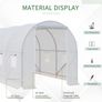 Walk-In Polytunnel Greenhouse 3.5 x 2 x 2 m Image 4