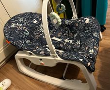 baby bouncer