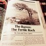 1981. The Irish Wildlife Book. Image 4