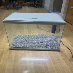 Fish tank