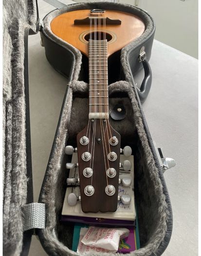 Paul Hathway Handmade  Mandolin