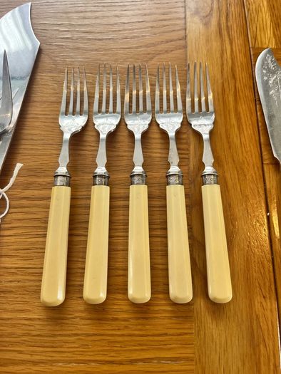 Antique 1901 Silver Collared Fish Set
