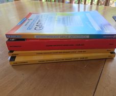 leaving cert past papers bn