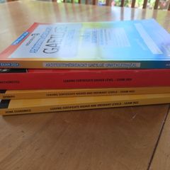 leaving cert past papers bn