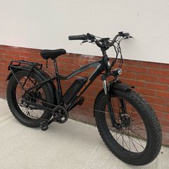 RADRHINO fat wheel E-bike