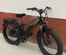 Radrhino Bike