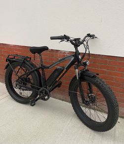 Radrhino Bike