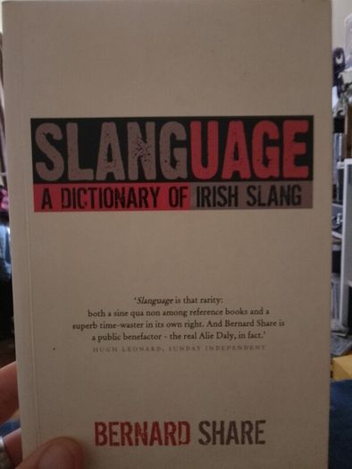 Slanguage A Dictionary of Irish Slang