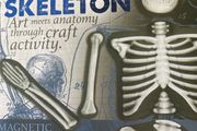 Make &amp; Decorate Human Skeleton/ Glow in the dark New