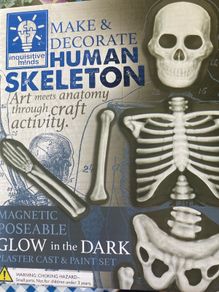 Make & Decorate Human Skeleton/ Glow in the dark New