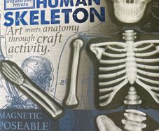 Make & Decorate Human Skeleton/ Glow in the dark New