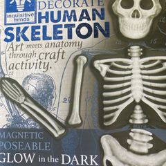 Make & Decorate Human Skeleton/ Glow in the dark New