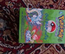 Pokemon Overgrowth Theme Deck Box and Inserts No Cards