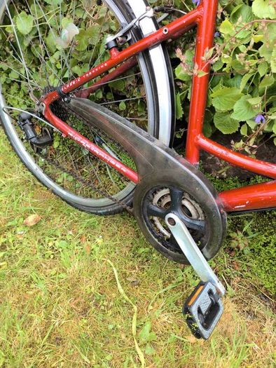 ladies bike