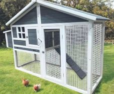 Large Chicken Coop  4-6 Bird