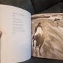 Pony by Tony Curtis, David Lilburn Image 8