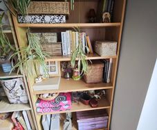 free bookshelf